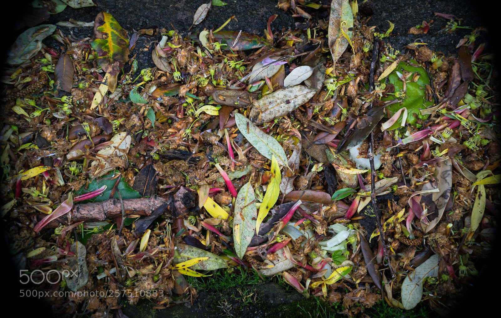 Sony a7 sample photo. Rm photography
