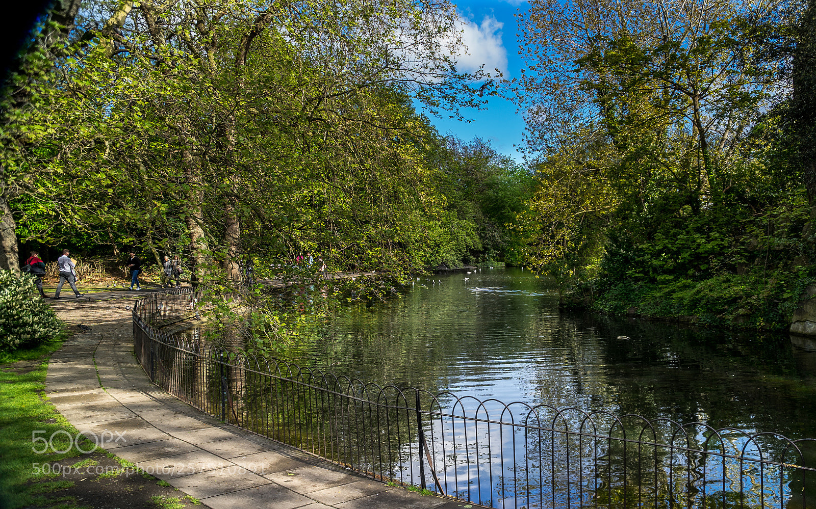 Sony a7 sample photo. Park photography