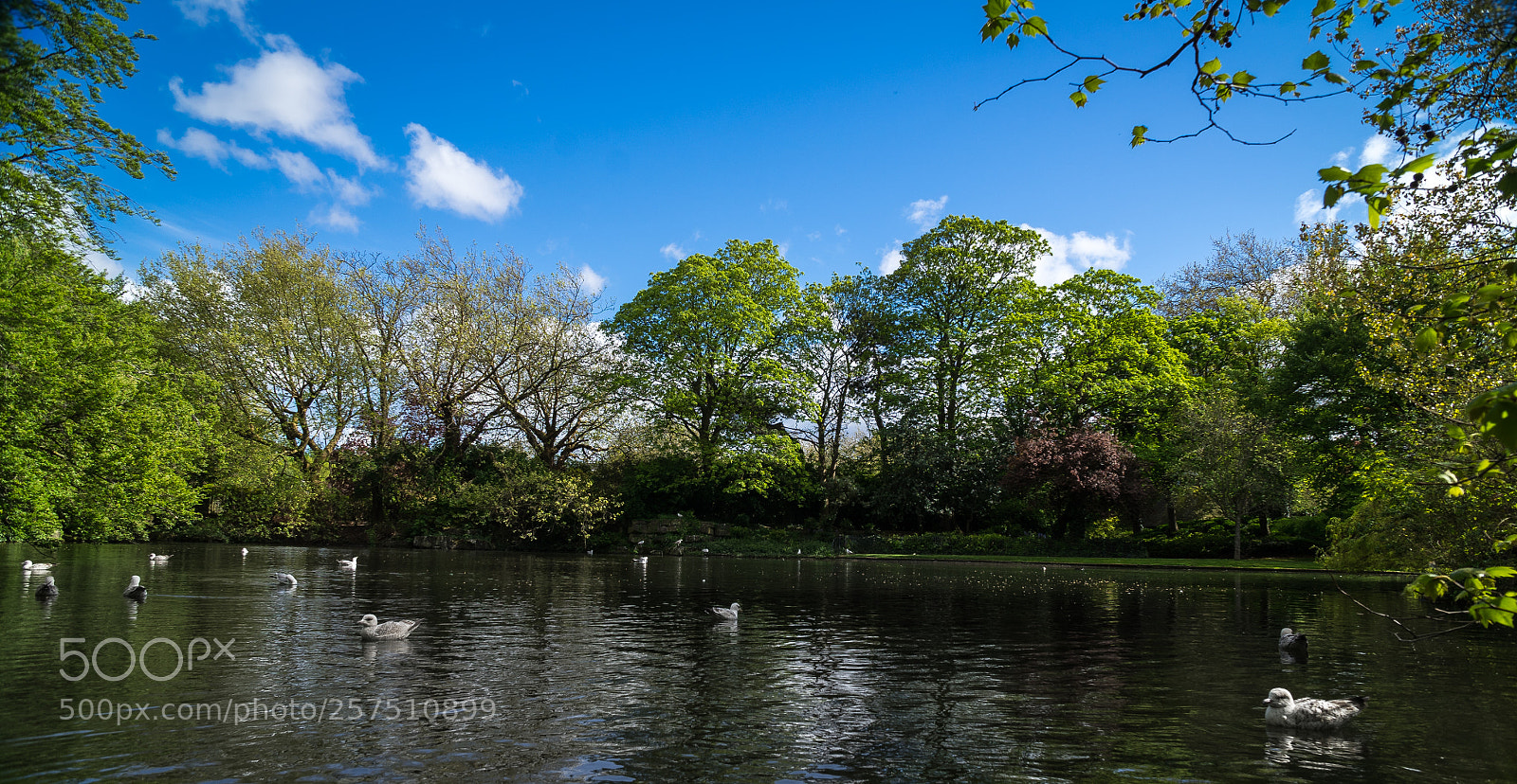 Sony a7 sample photo. Park photography