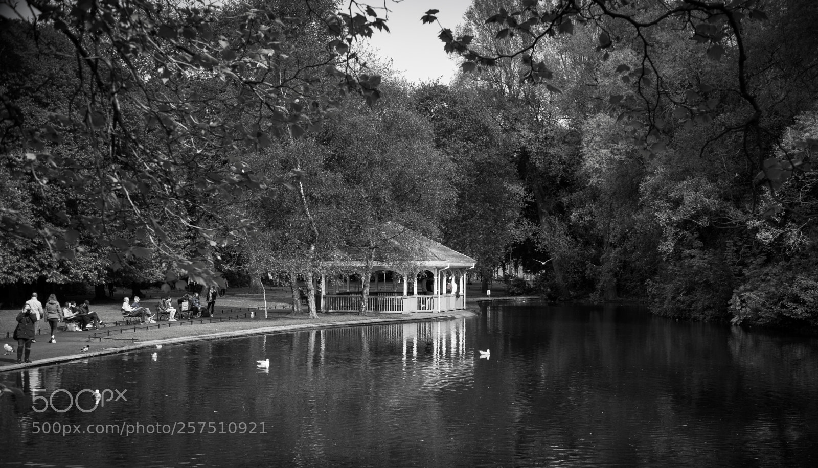 Sony a7 sample photo. Park photography