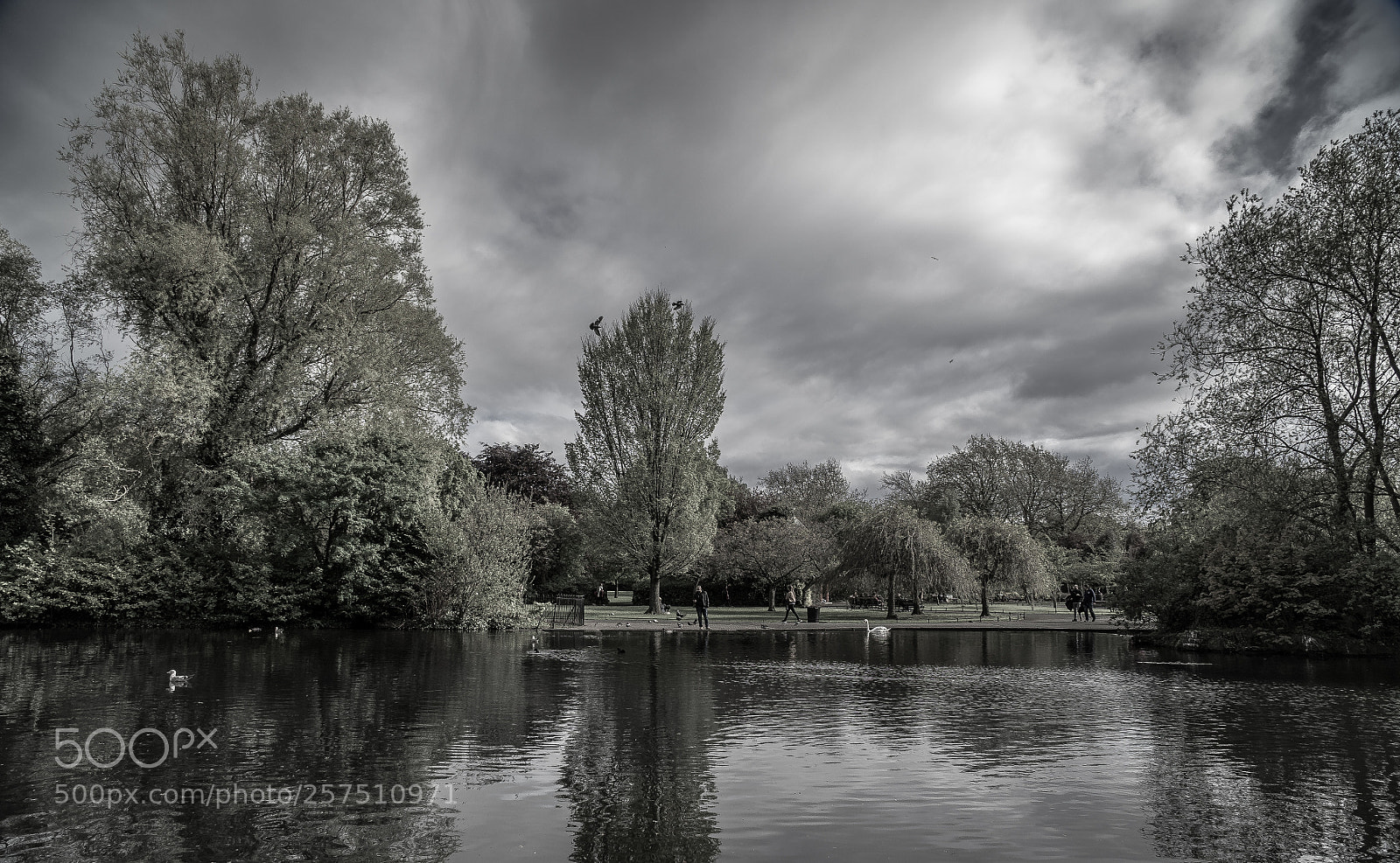 Sony a7 sample photo. Park photography