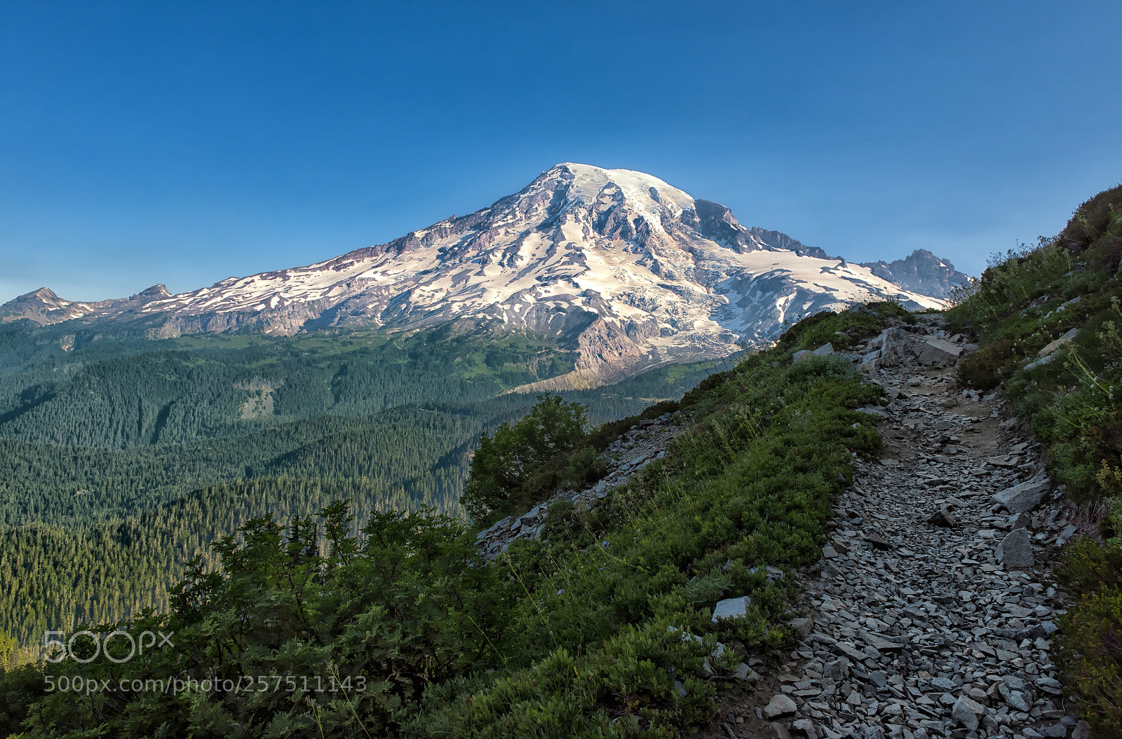 Nikon D810 sample photo. Hello mt. rainier photography