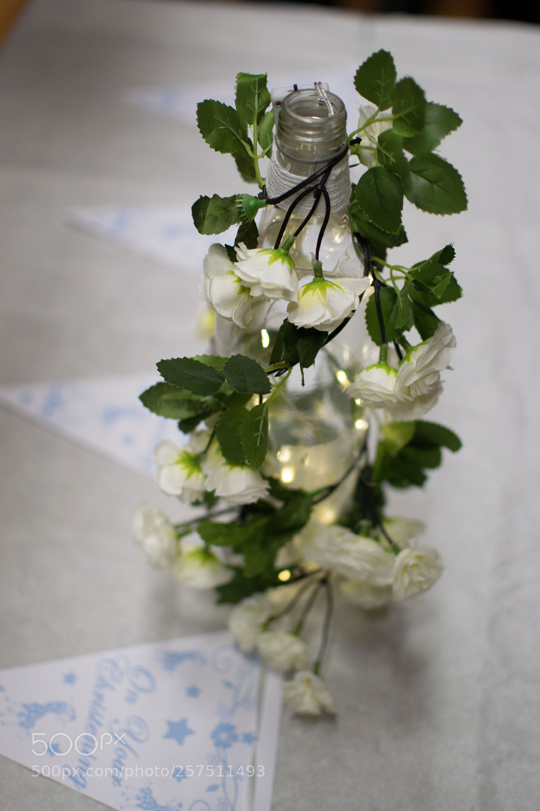 Nikon D3300 sample photo. Linking photography