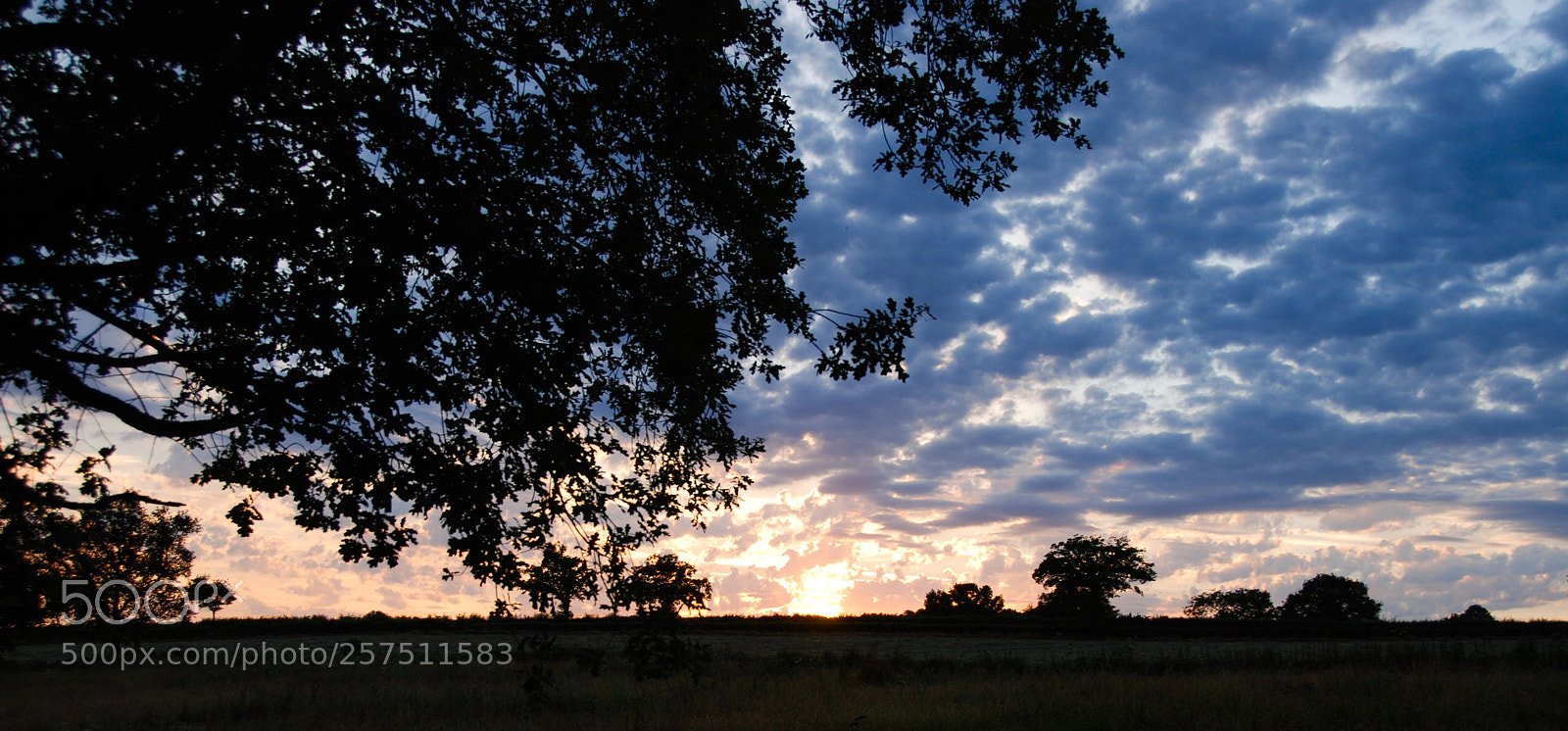Nikon D80 sample photo. Sunset photography