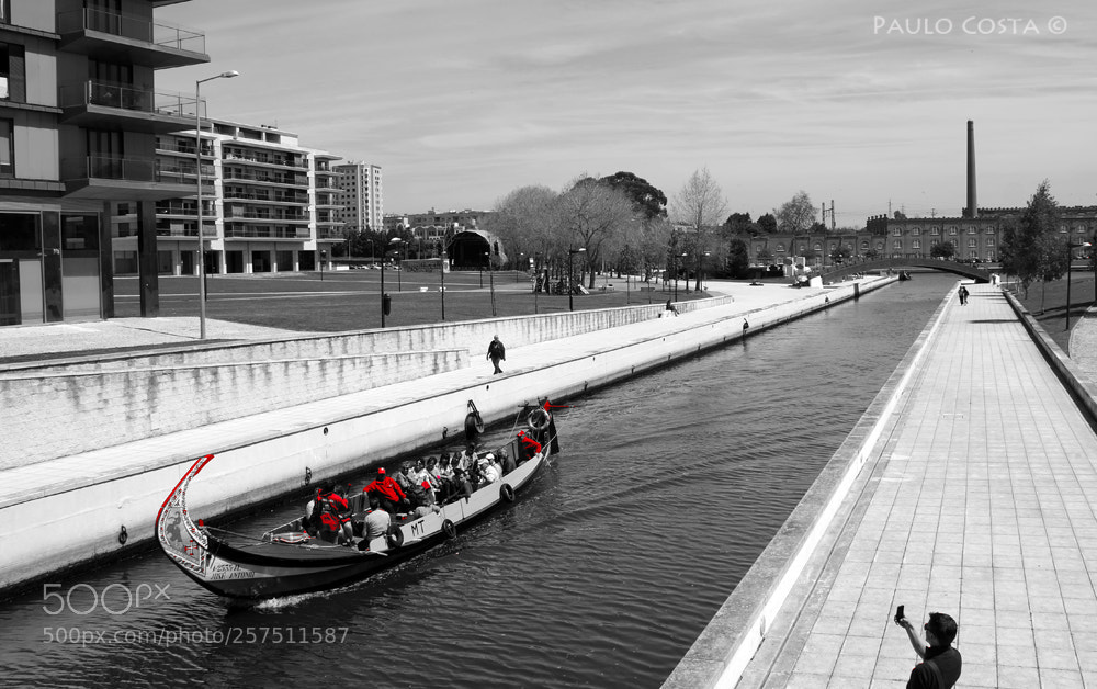 Sony SLT-A58 sample photo. Aveiro é Único photography