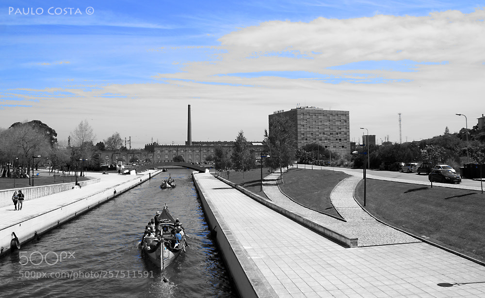 Sony SLT-A58 sample photo. Aveiro é Único photography