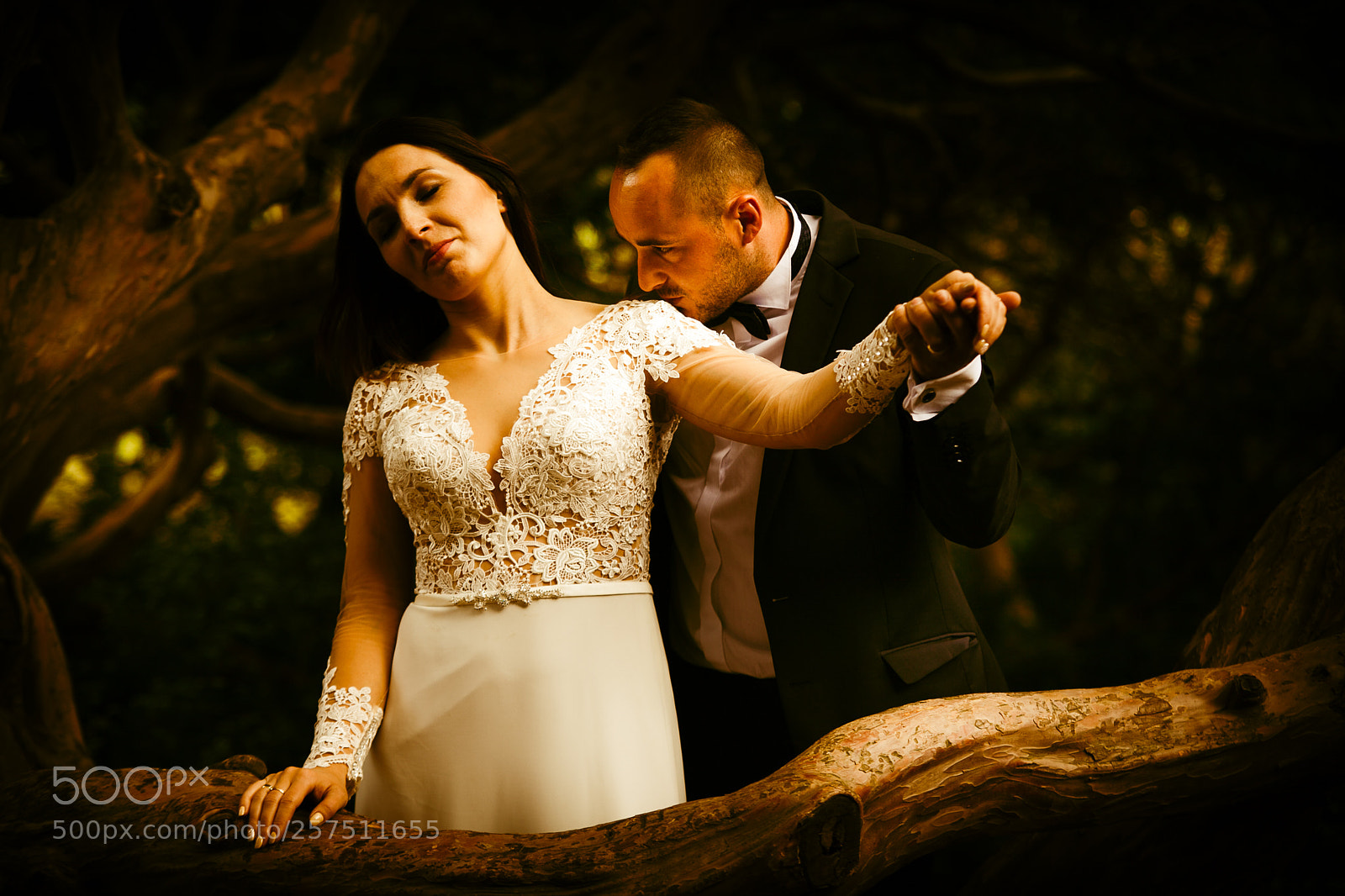 Canon EOS 5D Mark II sample photo. Img photography