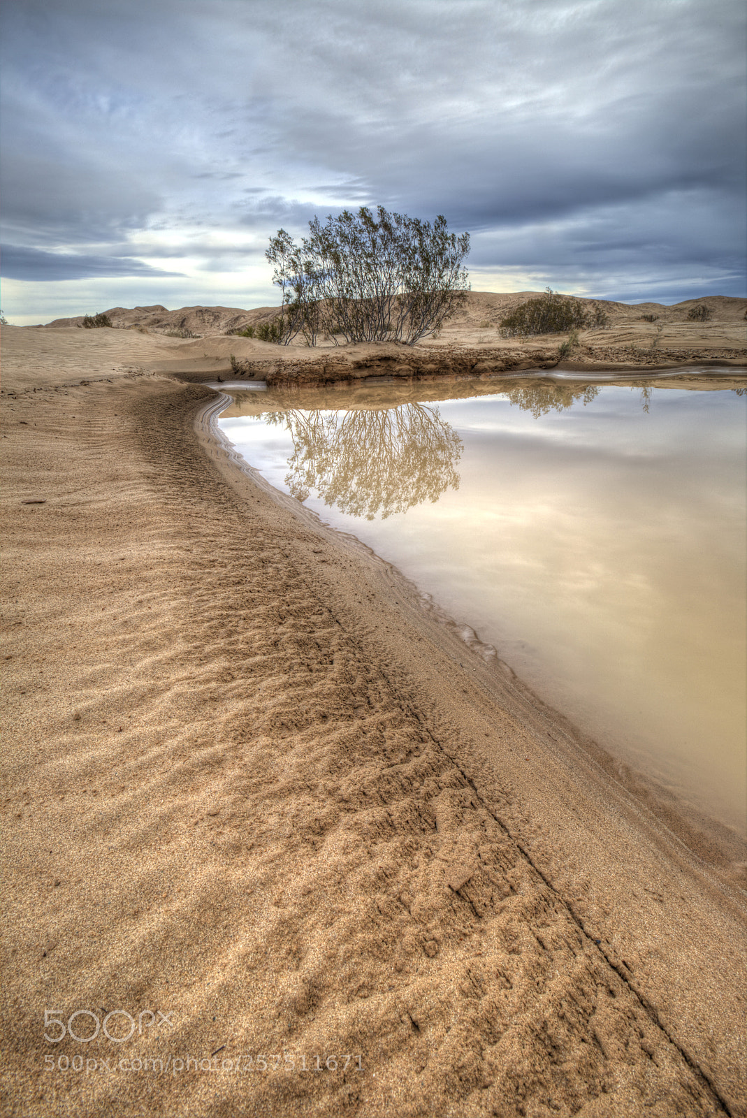 Canon EOS 6D sample photo. Watering hole photography