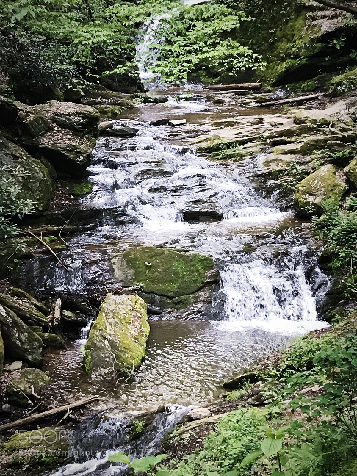 Apple iPhone 7 sample photo. Falling to pieces  photography