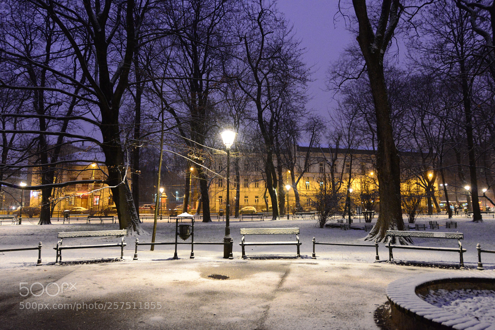 Nikon D800 sample photo. Planty, krakow, poland photography