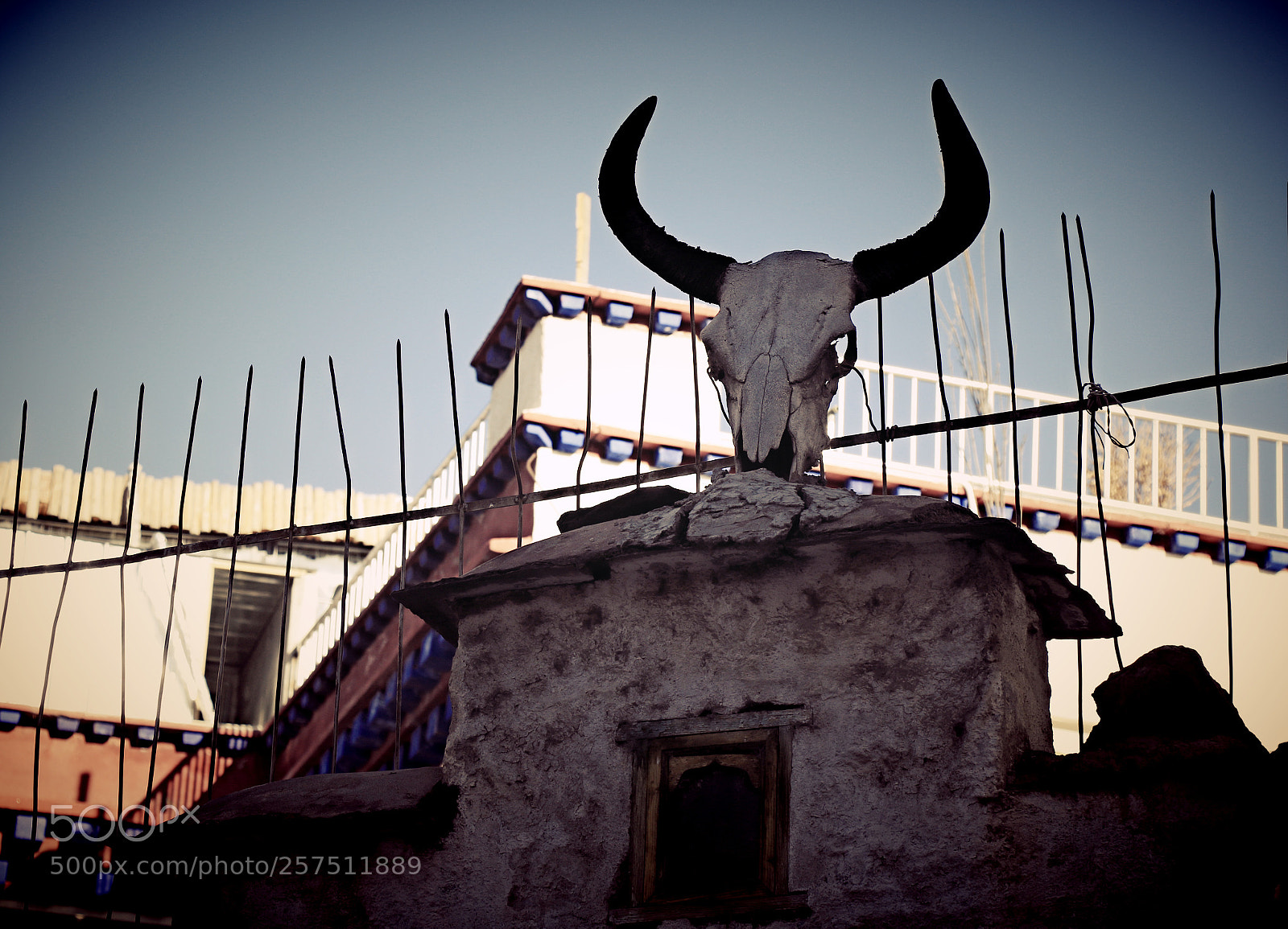 Canon EOS 7D Mark II sample photo. Untitled photography