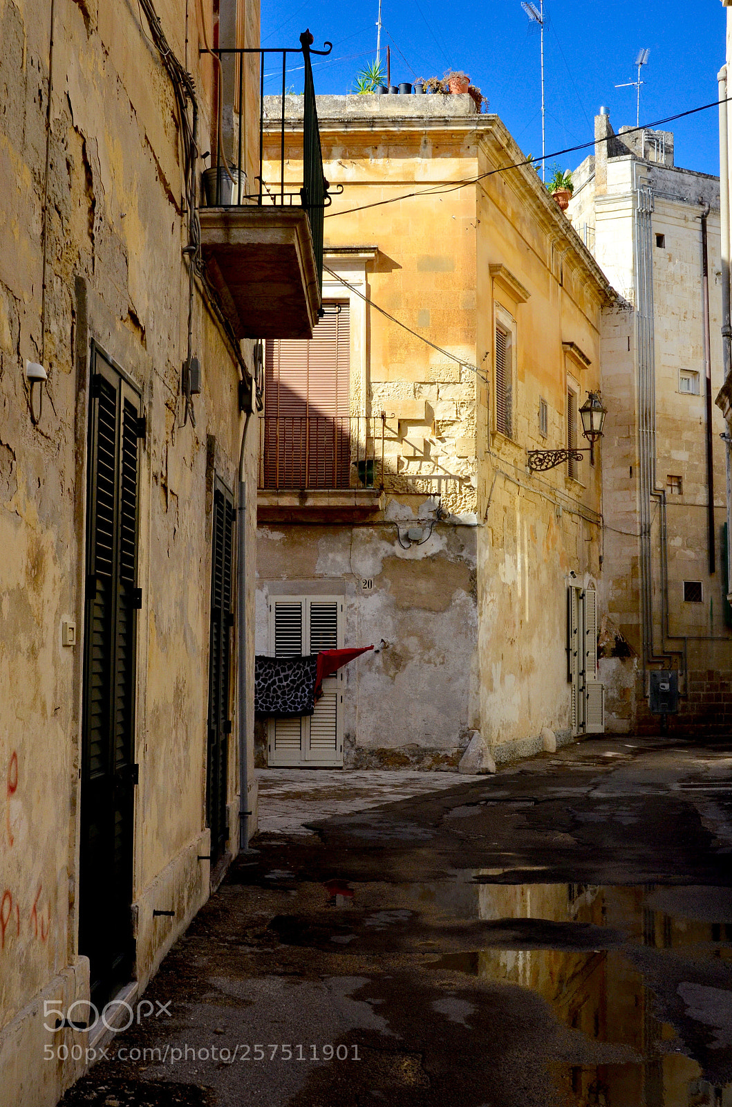Nikon D7000 sample photo. After the downpour photography