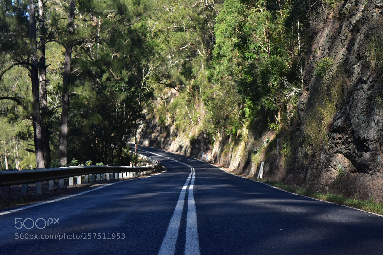 Nikon D3400 sample photo. Just around the bend  photography