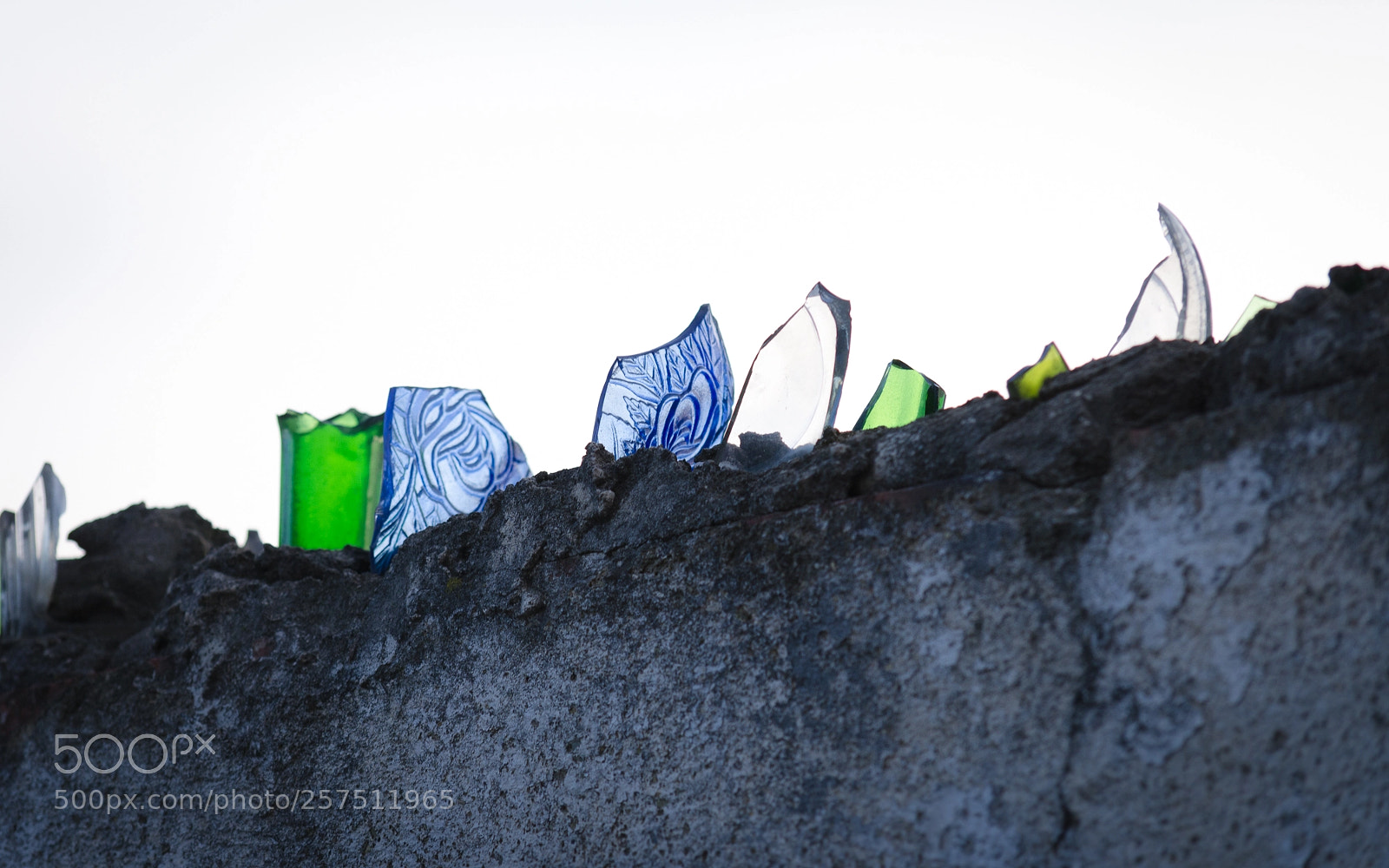 Nikon D5100 sample photo. Colourful sharp glass. the photography