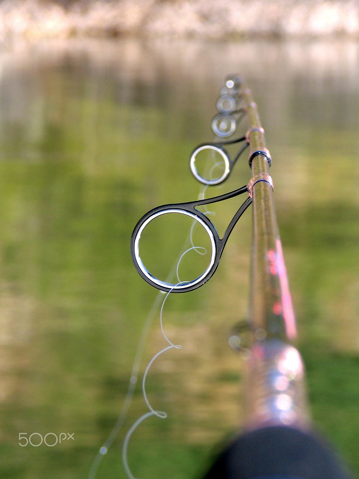 Canon POWERSHOT S1 IS sample photo. Fishing photography