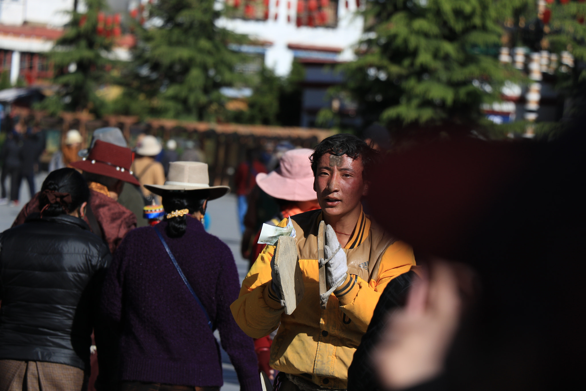 Canon EOS 7D Mark II sample photo
