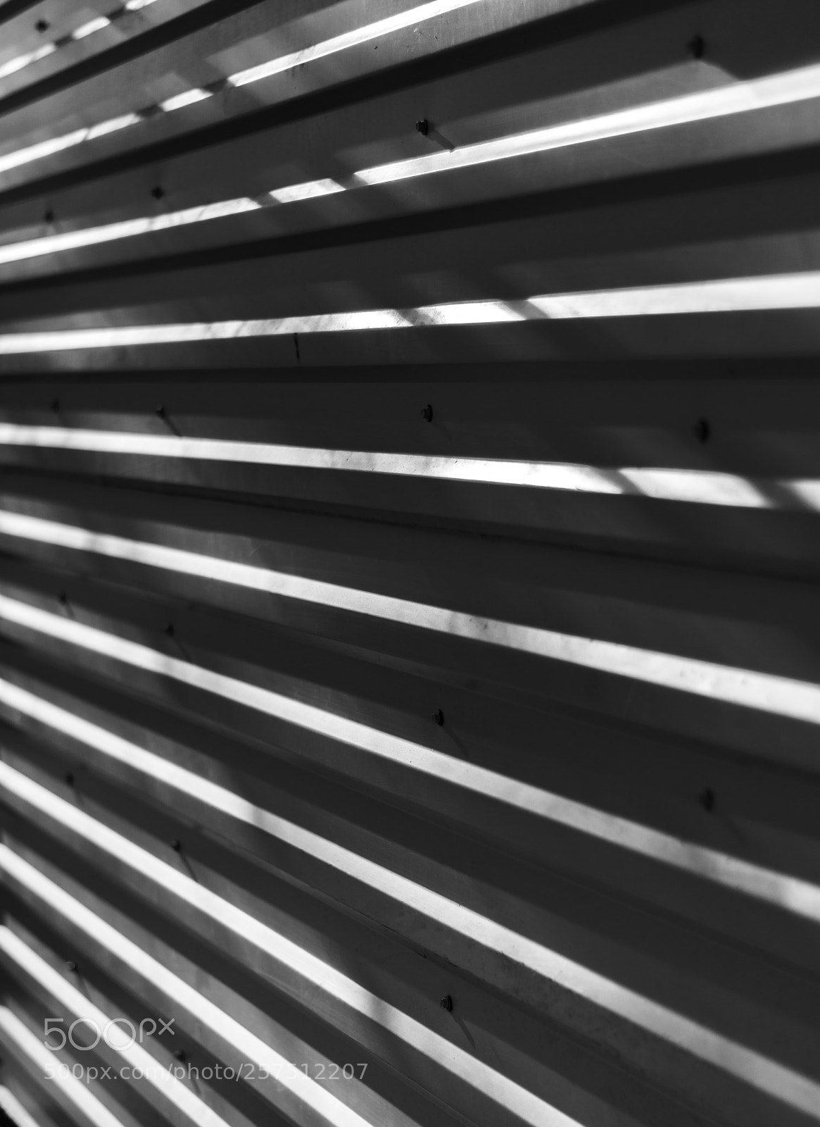 Nikon D7200 sample photo. Lines photography