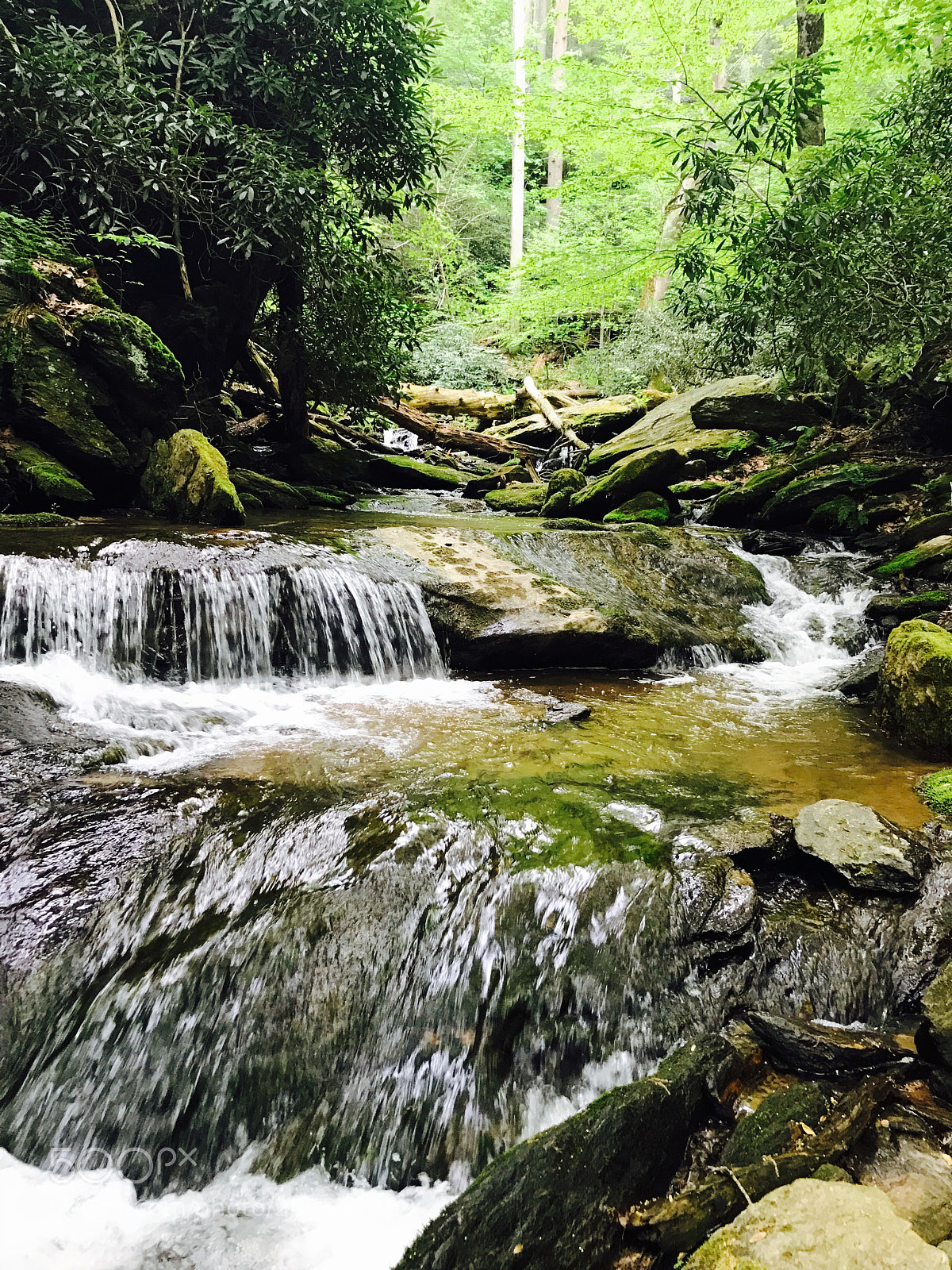 Apple iPhone 7 sample photo. When nature falls photography
