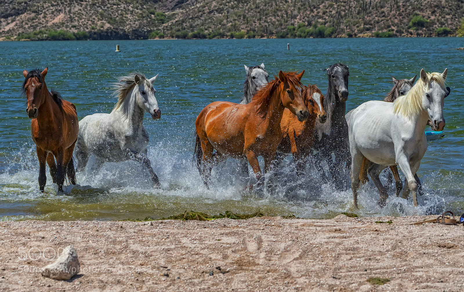 Nikon D500 sample photo. Water sports... photography