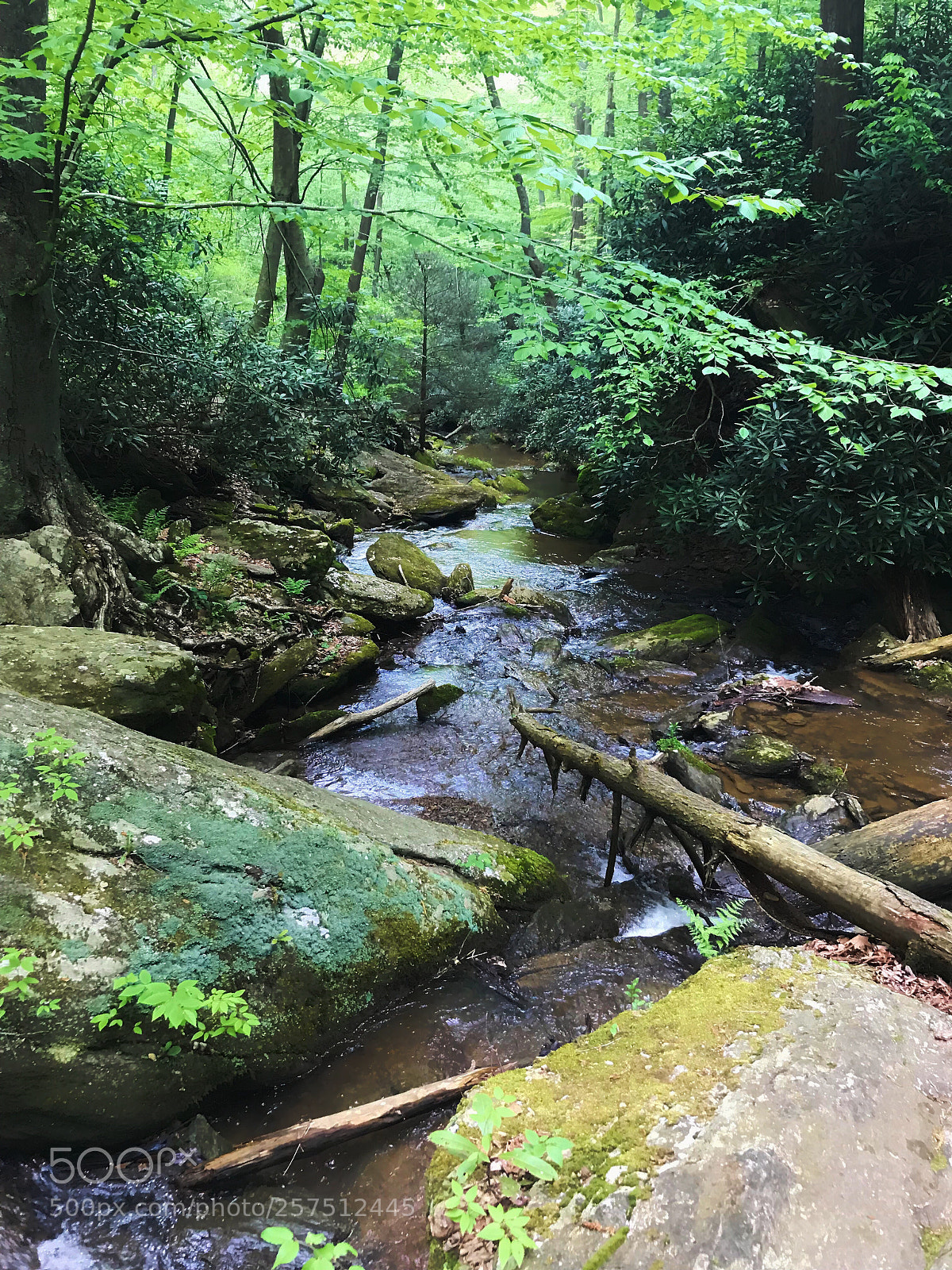 Apple iPhone 7 sample photo. Downstream photography