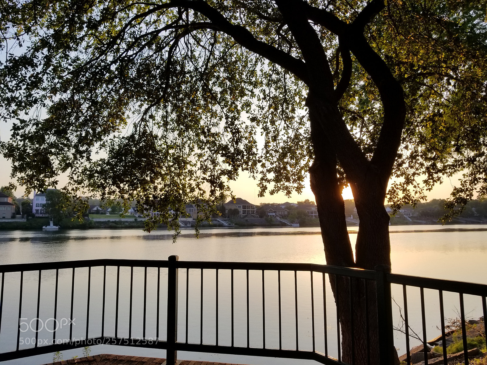 Samsung Galaxy S8+ sample photo. Untitled photography