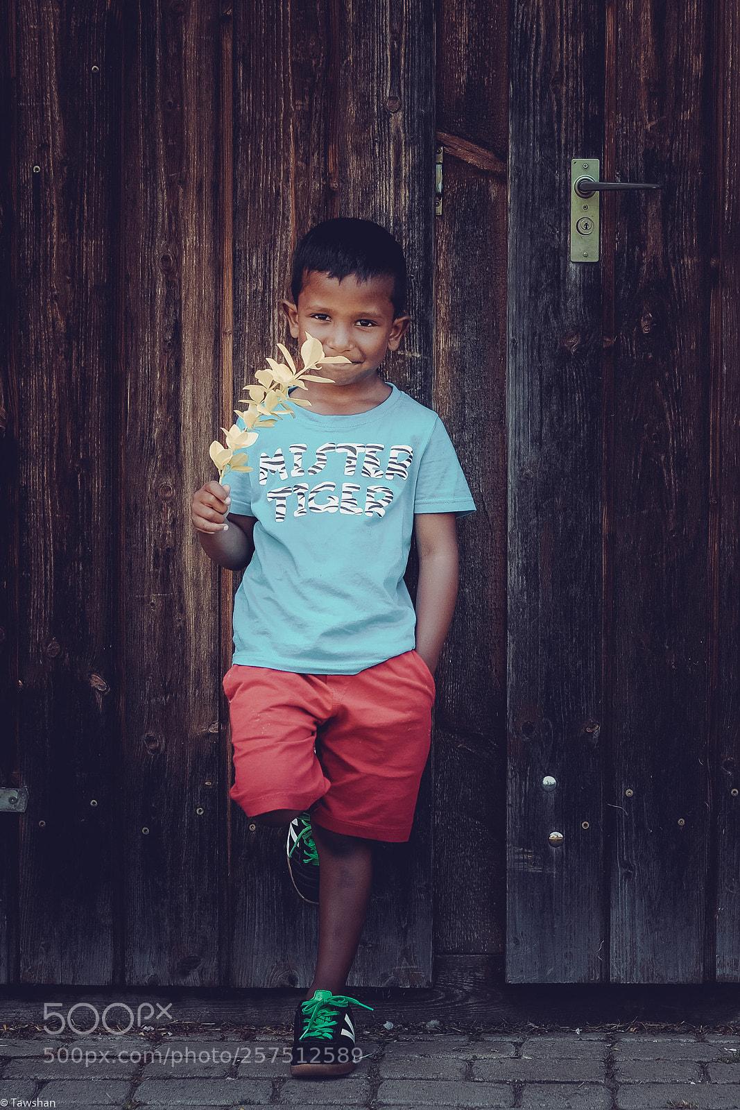 Fujifilm X-T2 sample photo. Cutness photography