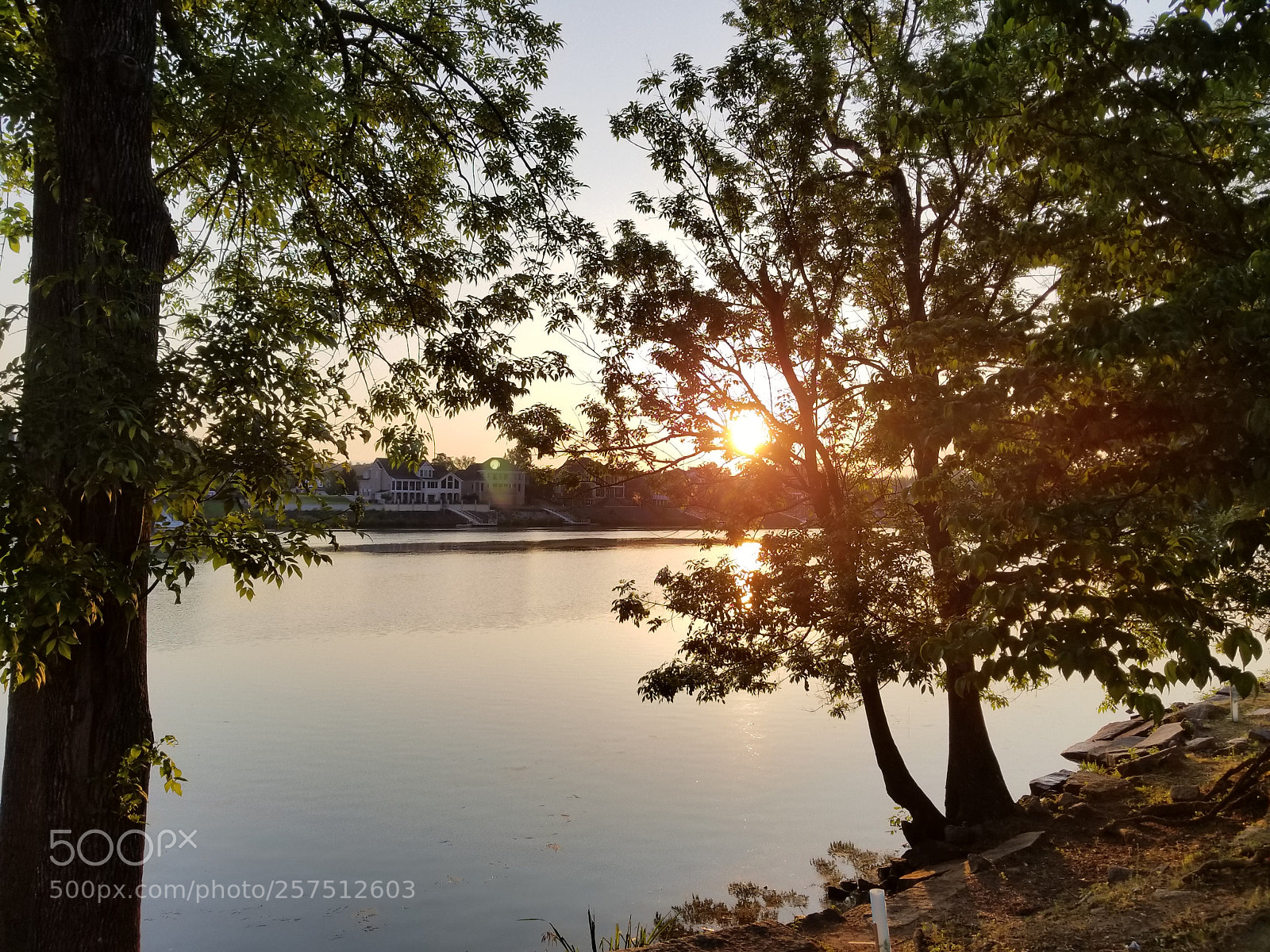 Samsung Galaxy S8+ sample photo. Untitled photography