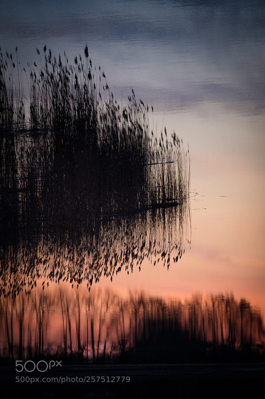 Fujifilm X-T2 sample photo. River reflection photography