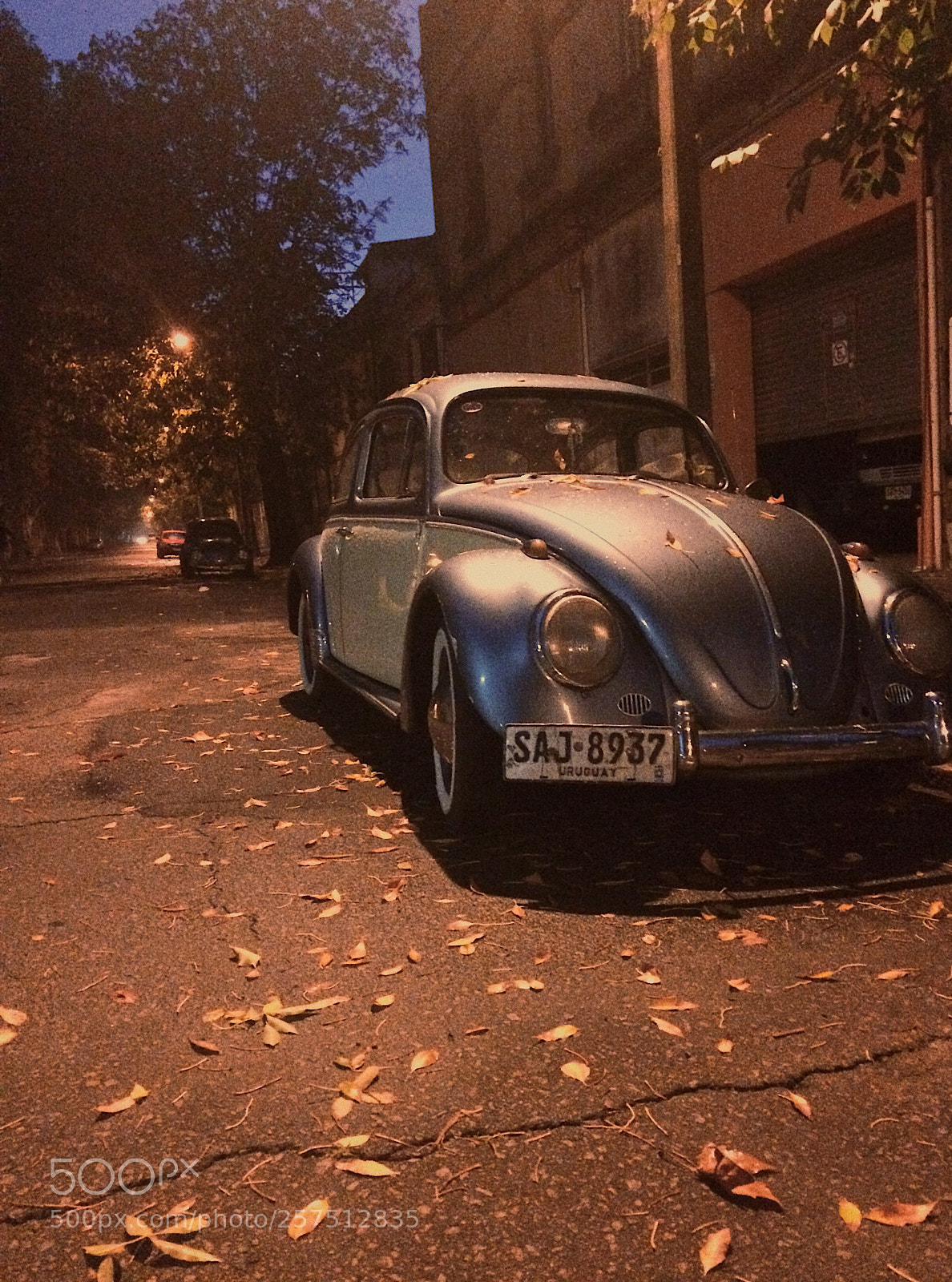 Apple iPhone 5s sample photo. Untitled photography