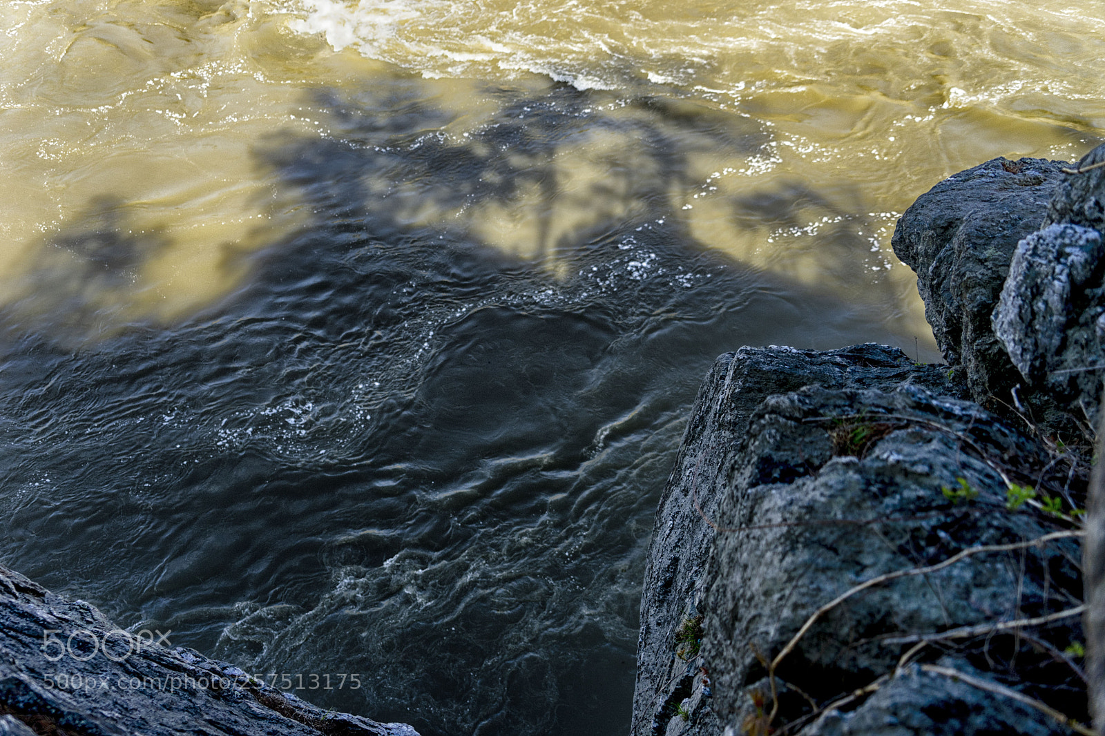 Sony a7 II sample photo. Shadow framing photography