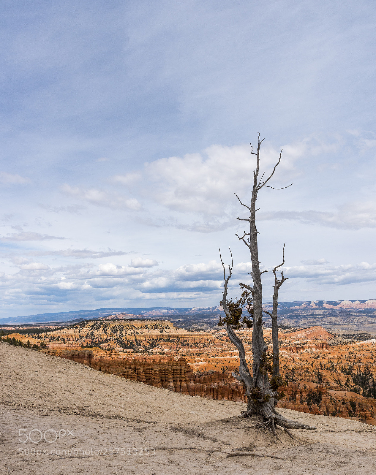 Nikon D750 sample photo. The sentinel photography