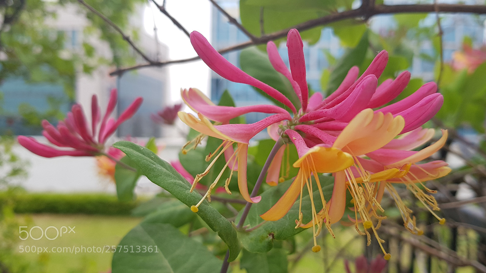 Samsung Galaxy S8 sample photo. Untitled photography