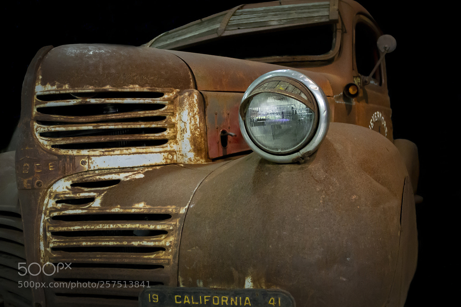 Canon EOS 7D sample photo. Rusty cockroach photography