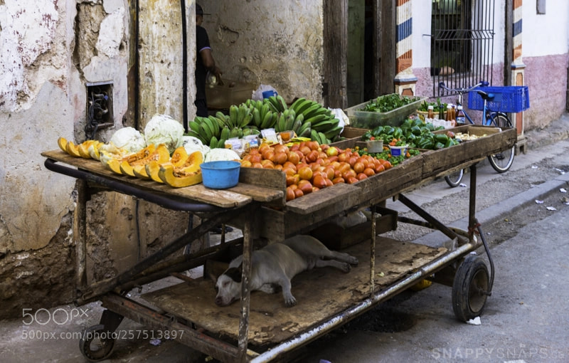 Nikon D800 sample photo. Havana fruit & veggies photography