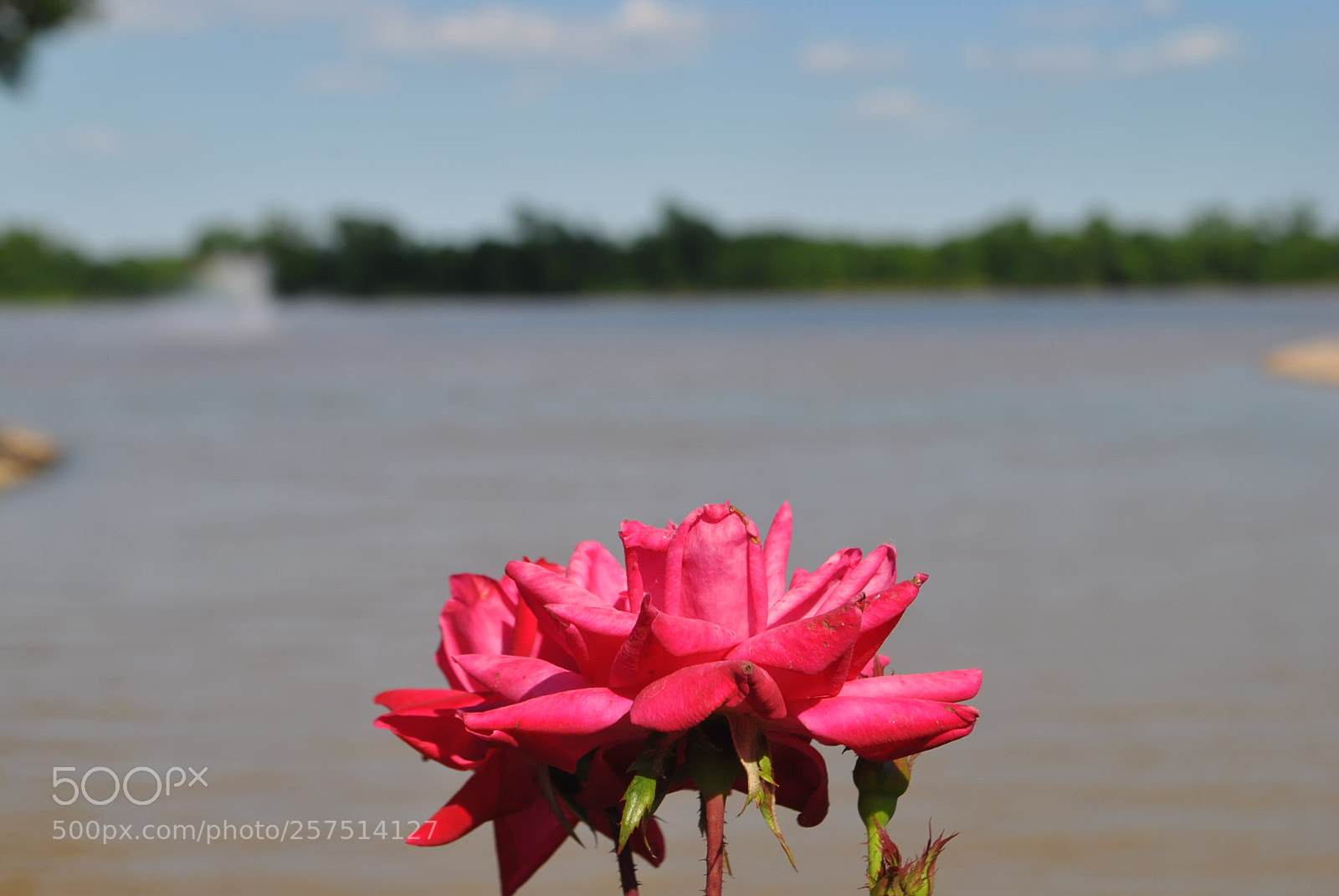 Nikon D3000 sample photo. Inspire photography