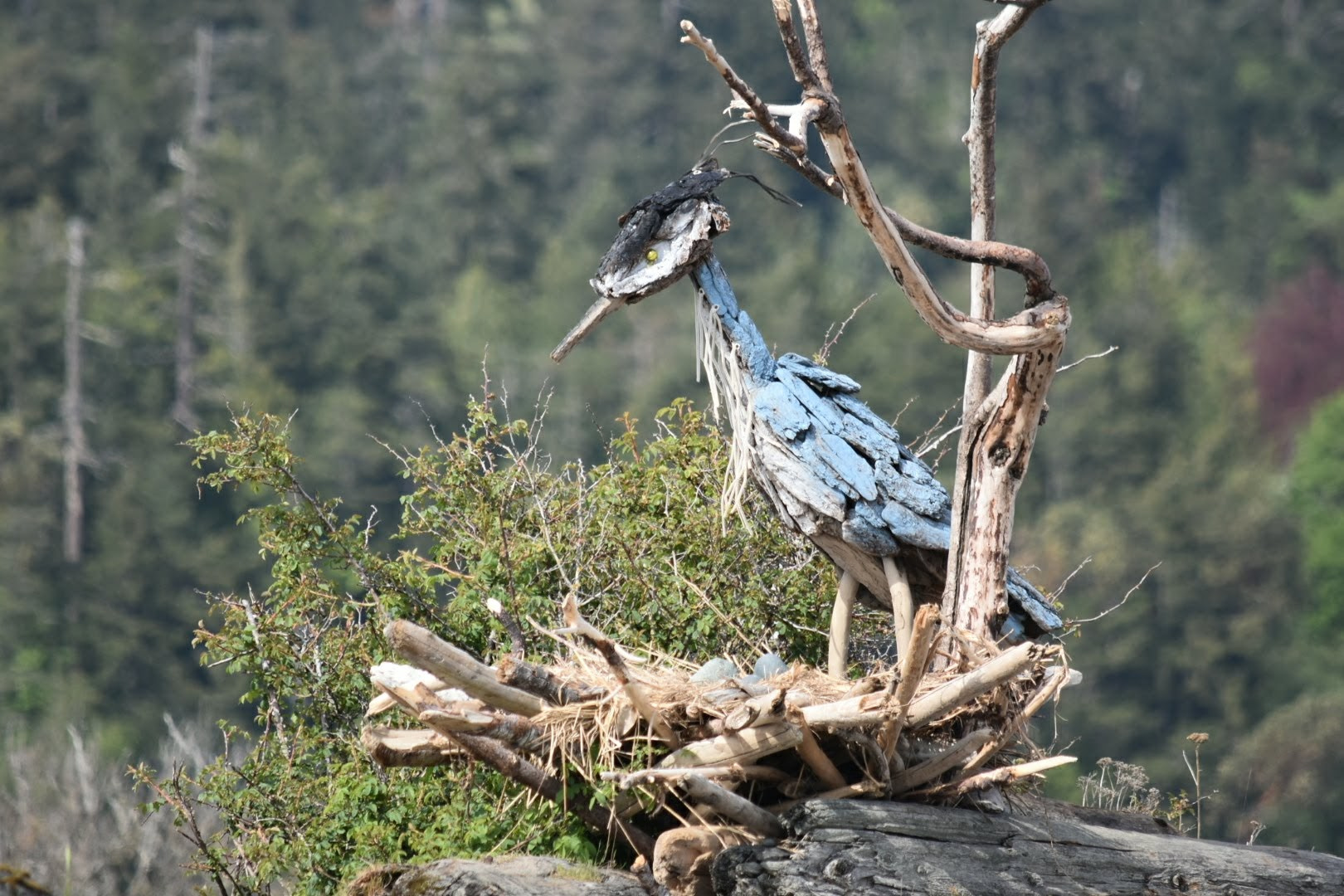 Nikon D3400 sample photo. Nesting photography