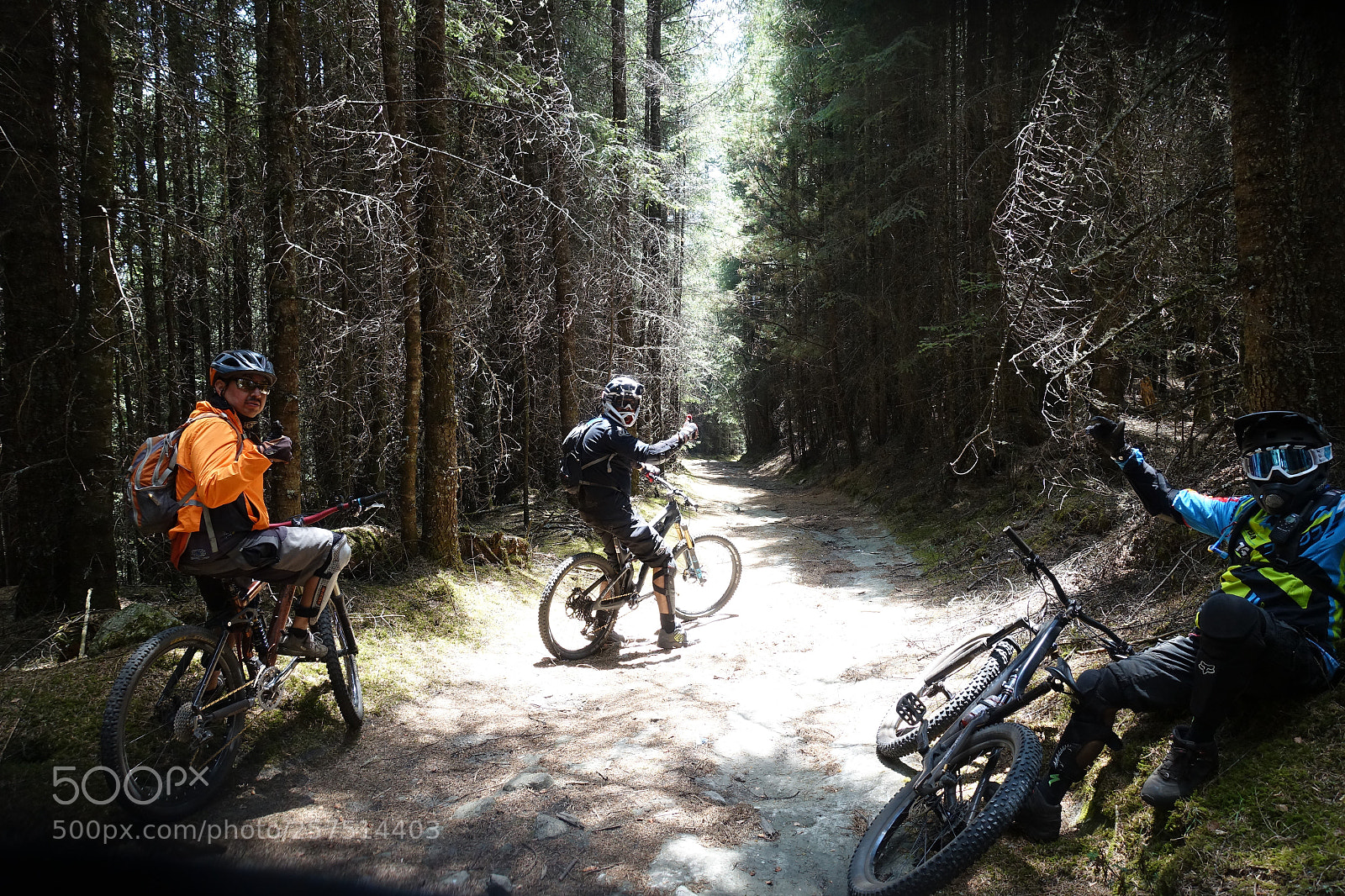 Sony Cyber-shot DSC-RX100 III sample photo. Endureando en el bosque photography