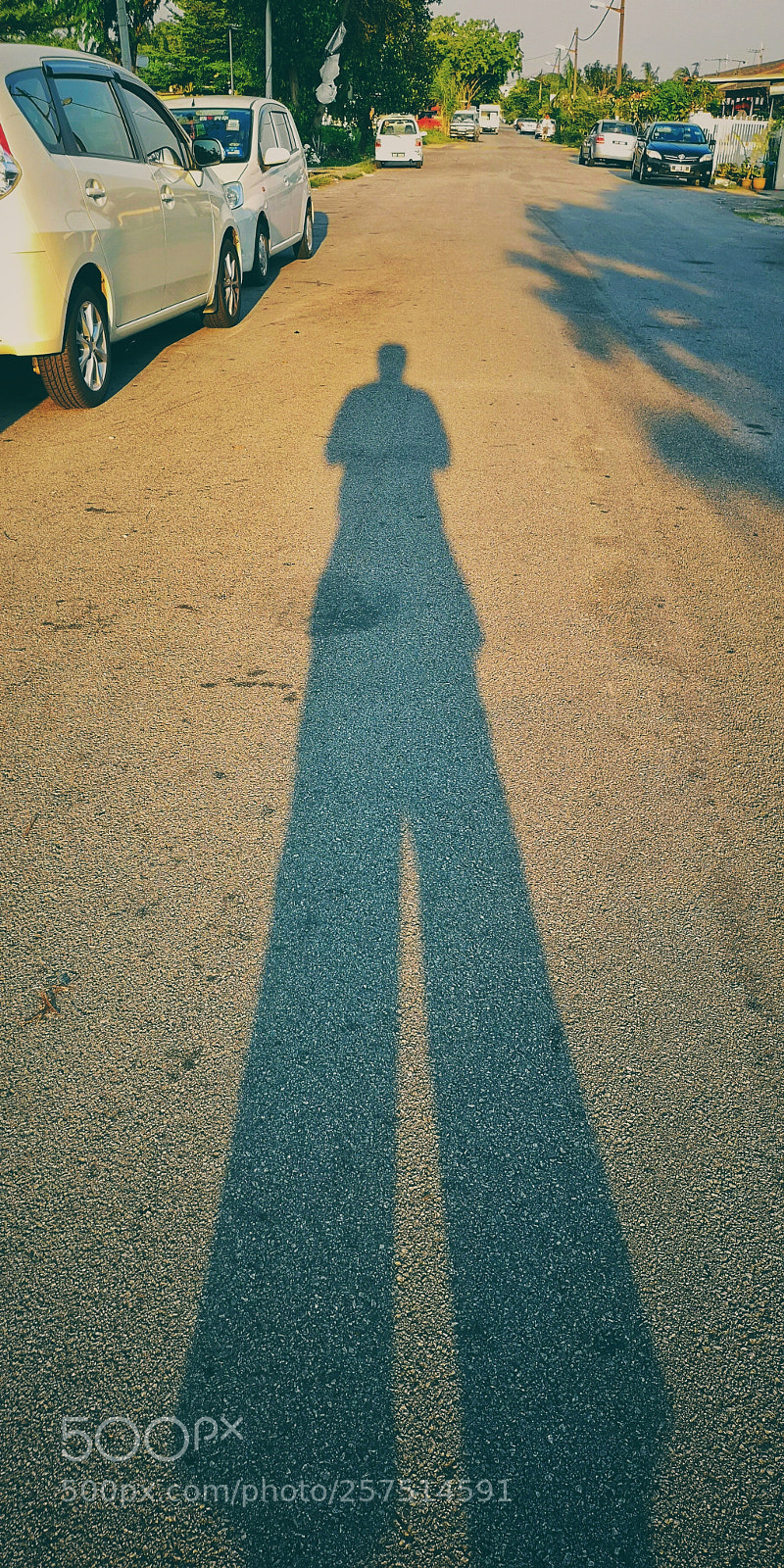 HUAWEI CLT-L29 sample photo. Long legs. 长腿。 photography