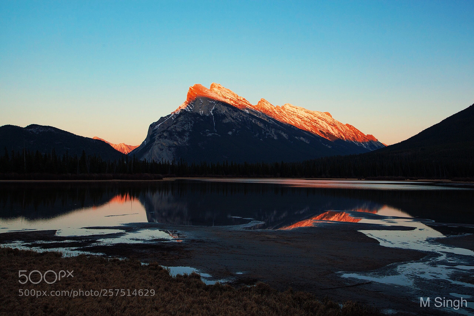 Canon EOS 5D Mark II sample photo. Crowned by the sunset  photography