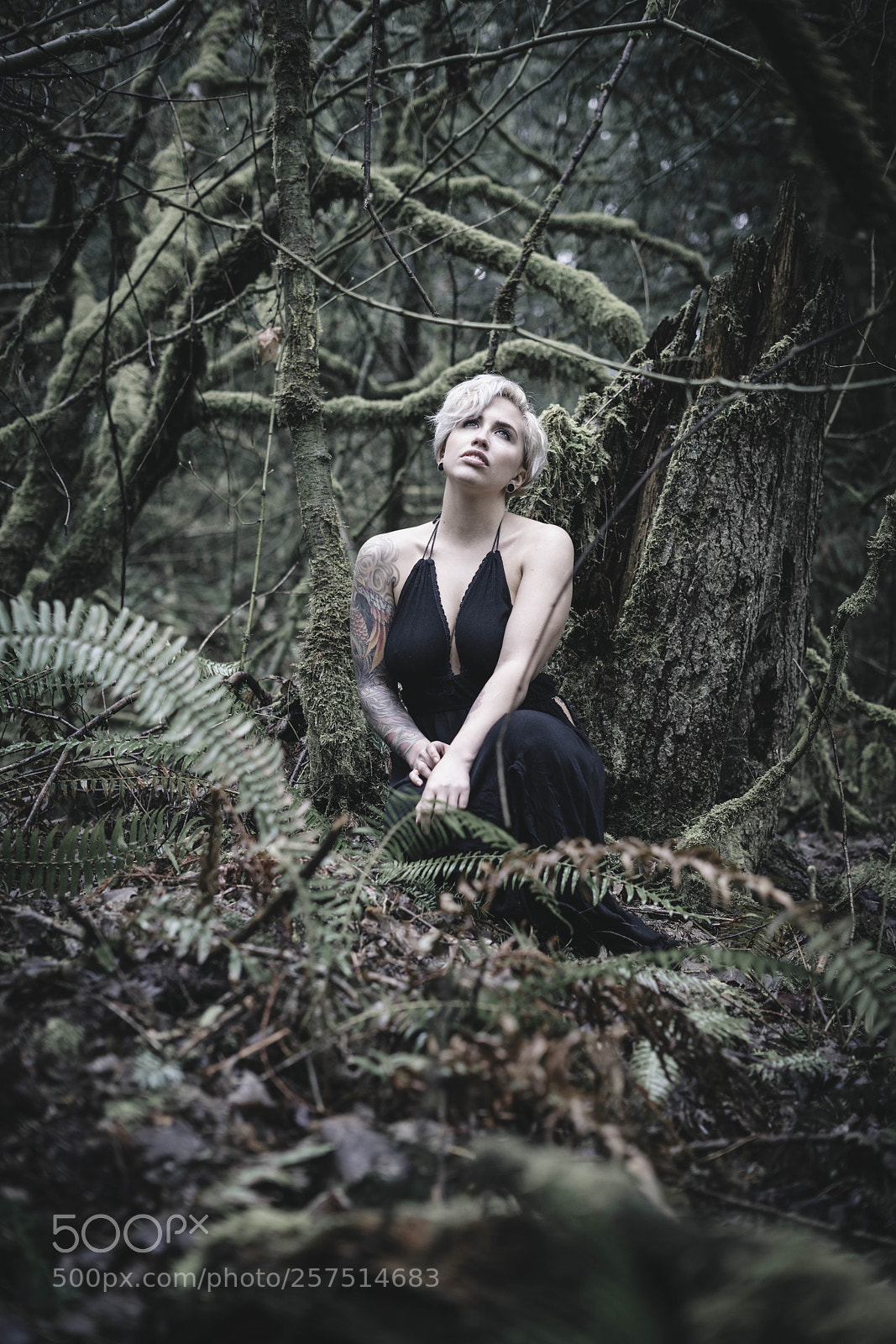 Sony a7R II sample photo. Untitled photography