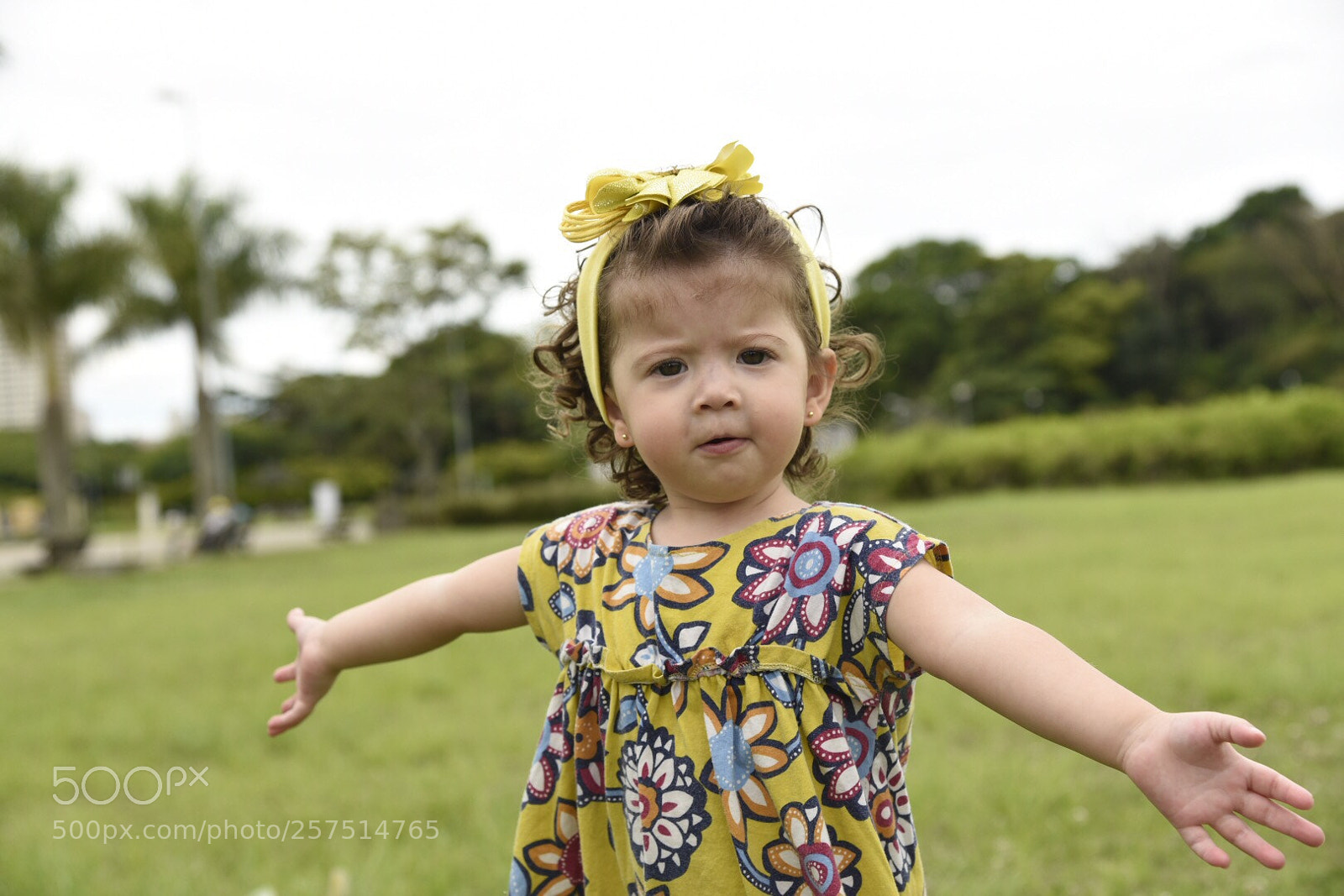 Nikon D750 sample photo. Carefree  photography