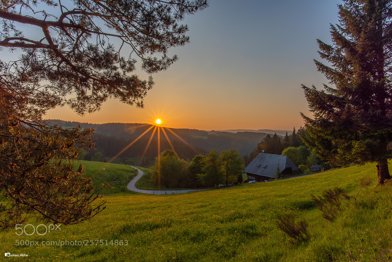 Nikon D810 sample photo. Sunset in the black photography