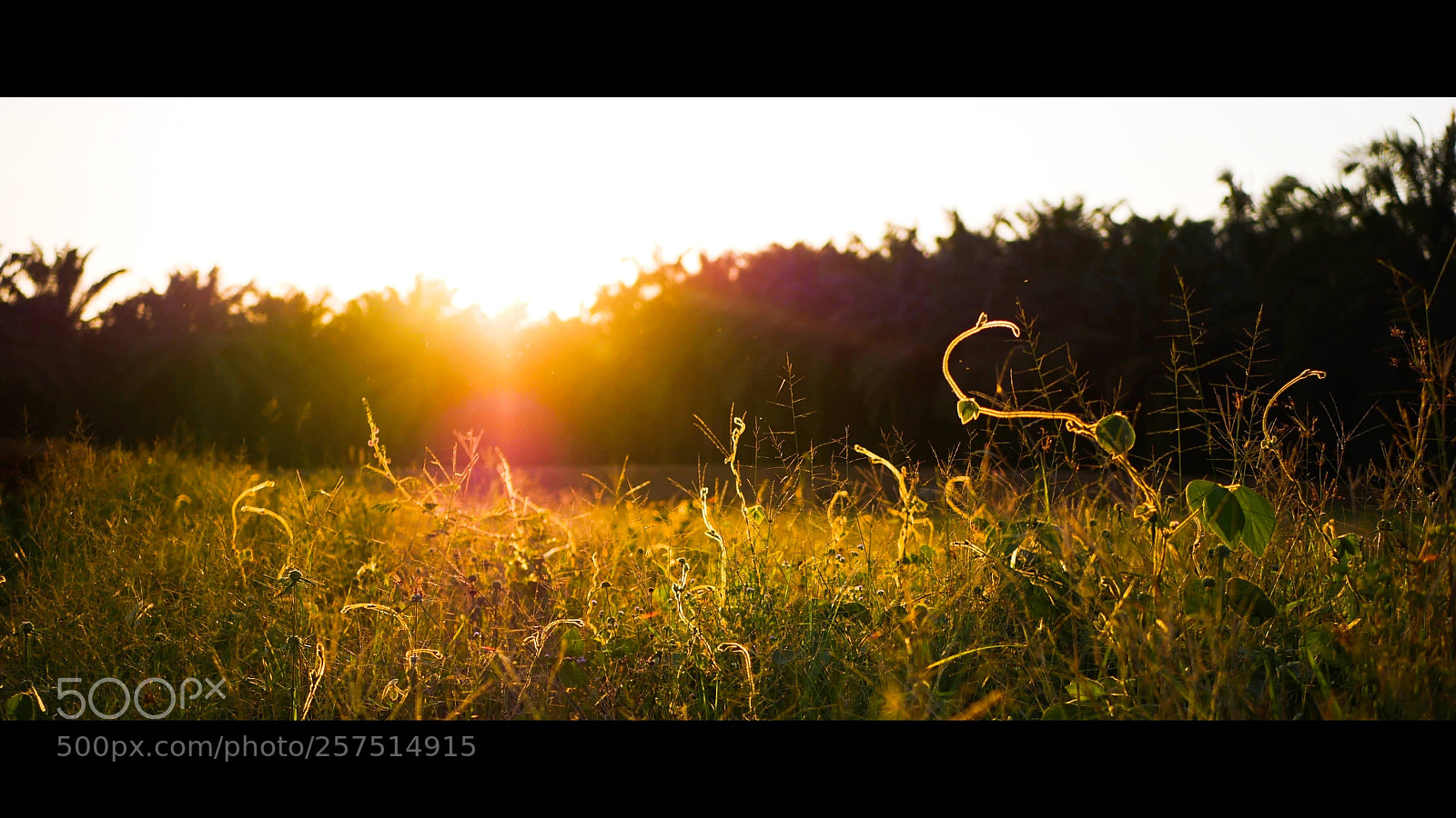 Panasonic Lumix DMC-G7 sample photo. Sunset in countryside photography
