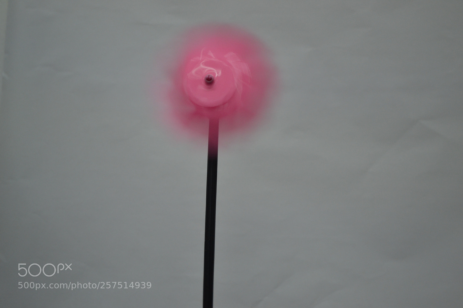 Nikon D3100 sample photo. Untitled photography