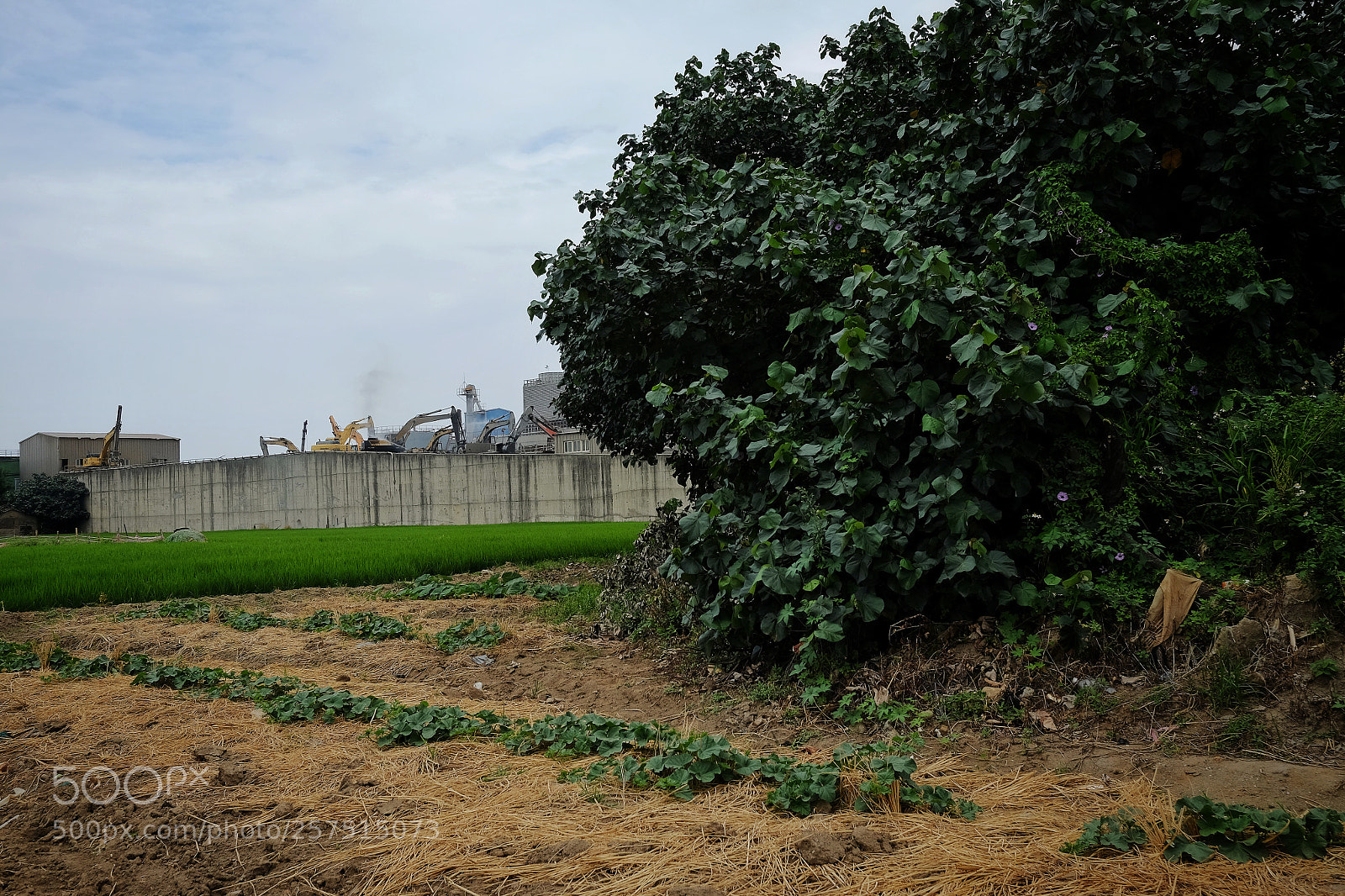 Fujifilm X-T1 sample photo. Don't do that photography