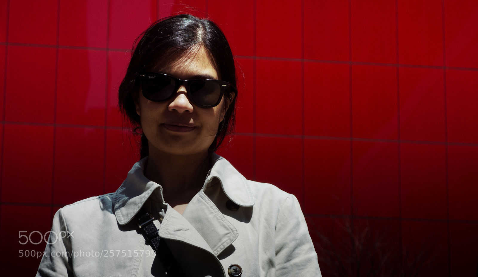 Sony Cyber-shot DSC-RX100 sample photo. Chicago red photography