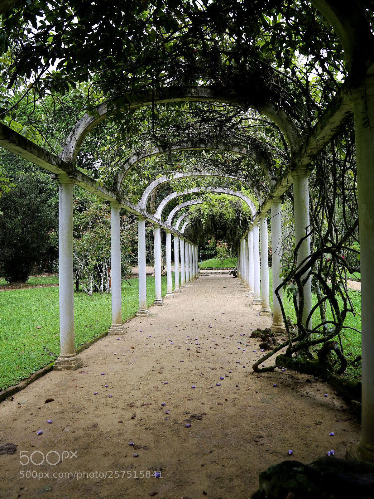 Canon EOS 6D sample photo. Jardin botanico - rio photography