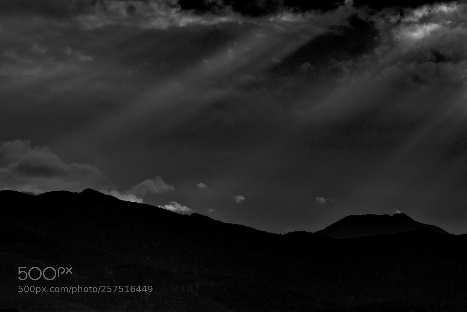 Nikon D5600 sample photo. Kunanyi/mount wellington photography