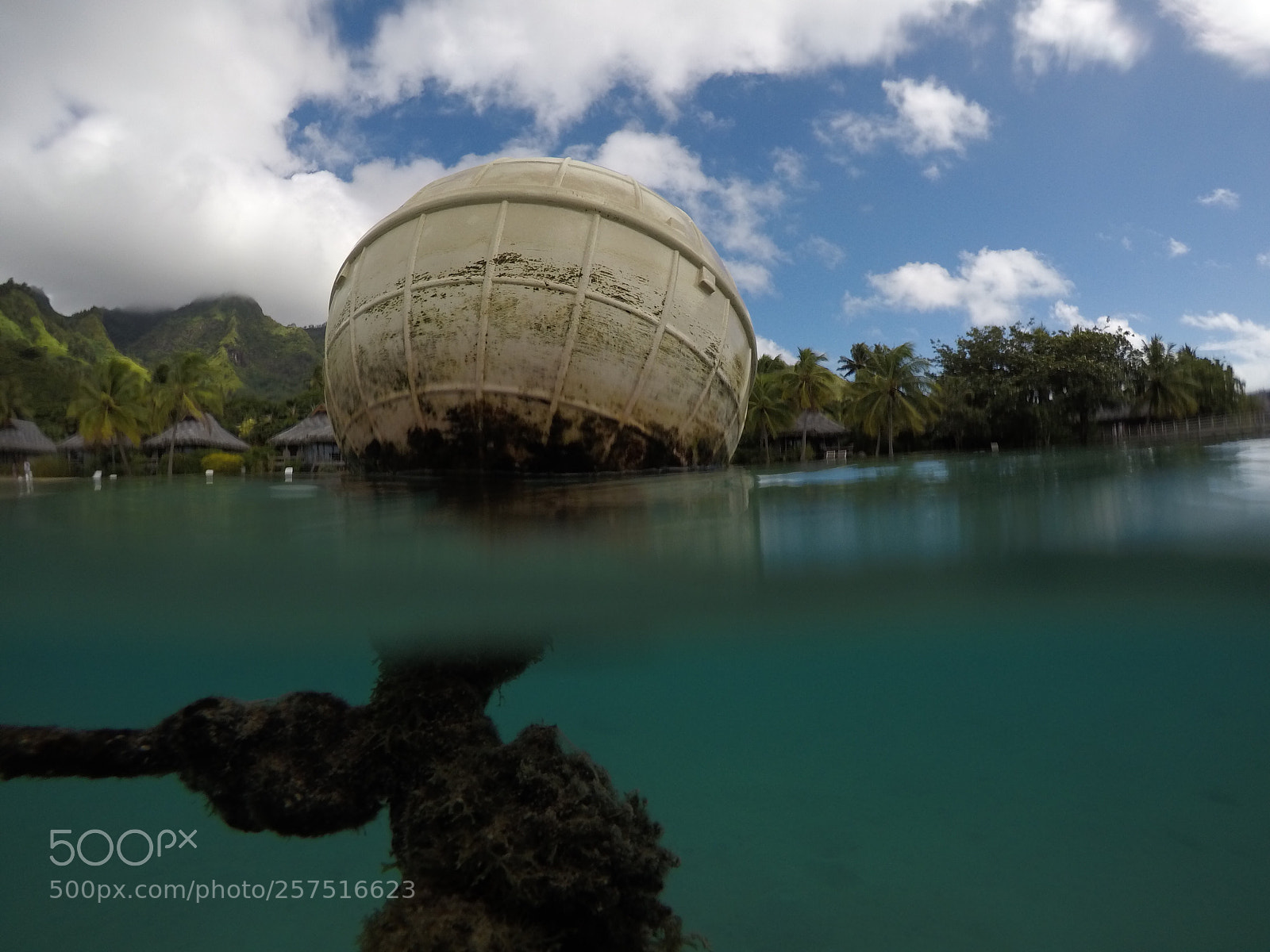 GoPro Hero5 Black sample photo. Over under water photography
