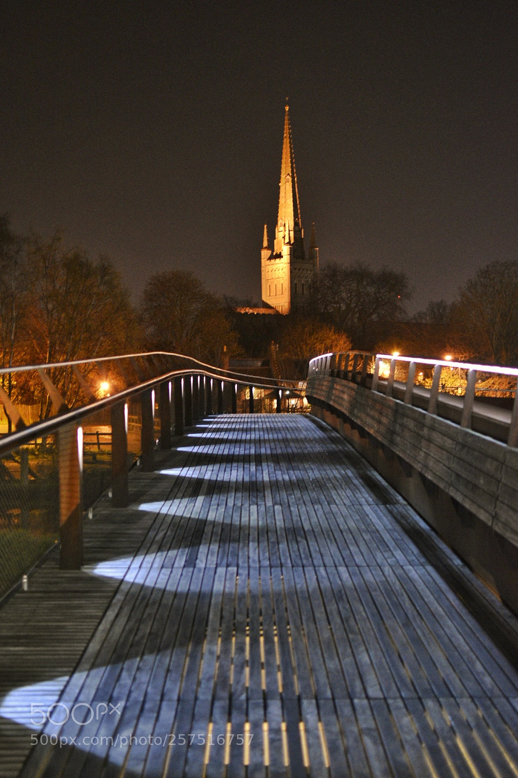 Nikon D5500 sample photo. Untitled photography